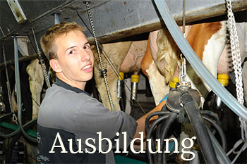 Ausbildung