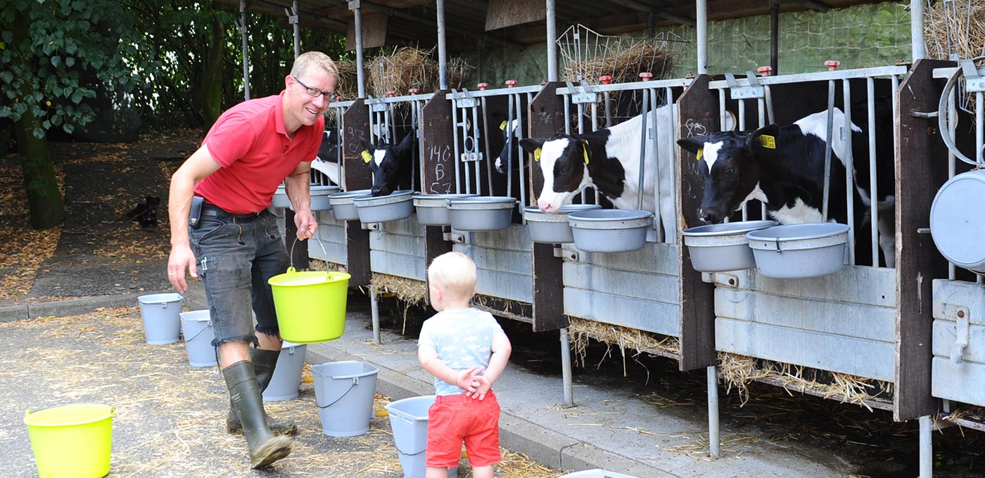 Wir zeigen Ihnen, wie die Kälber auf unserem Milchviehbetrieb Jünck aufwachsen